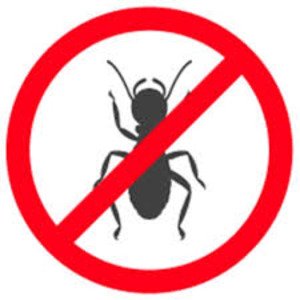Ant Control Service